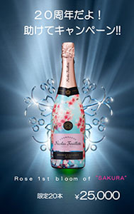 20周年キャンペーンのチラシ